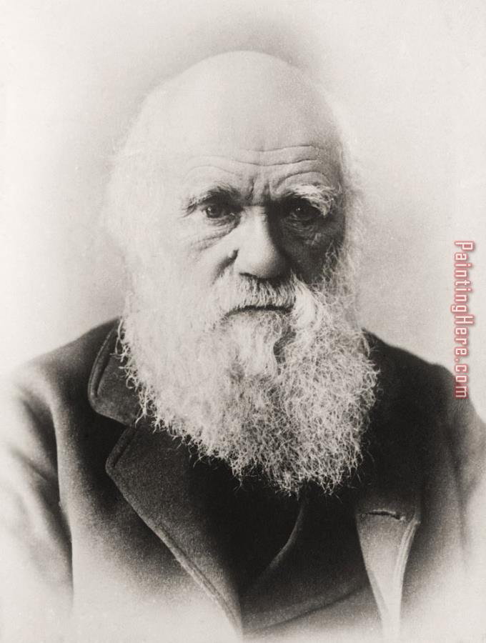 English School Charles Darwin